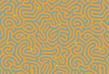 NGTs maze