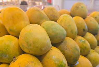 Indian mangoes