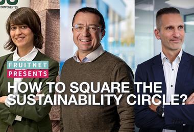 Sustainability circle