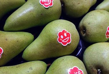 NL Migo pears