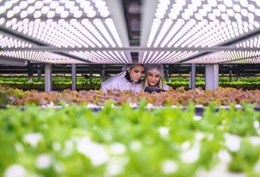 CEA indoor farming Wageningen University and Research