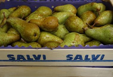 Salvi pears