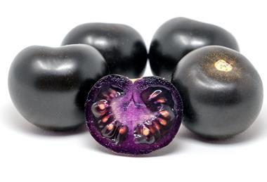 thumbnail_PurpleTomato