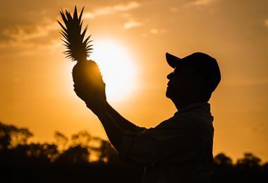 Dole Colada Royale - Roberto Young with Fruit at Sunset