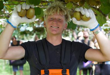 Seeka kiwifruit picker labour
