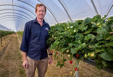 Roly Mackinnon Mountford Berries