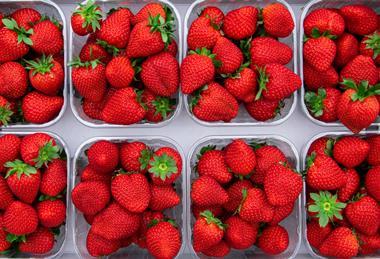 Inspire strawberries The Greenery