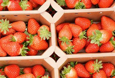 British strawberries are in peak supply