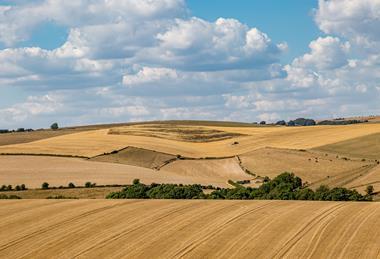 UK drought