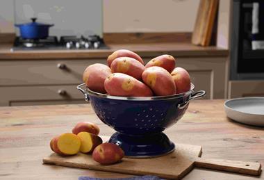 Nemo is well suited to roasting and cuts cooking time by a quarter