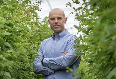 Wyard Stomp Driscoll's 2026