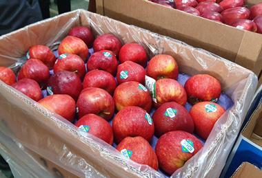 Turkish apples in India