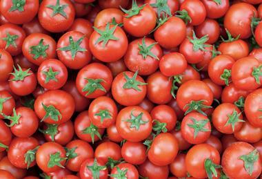 Generic tomatoes top down view Adobe Stock