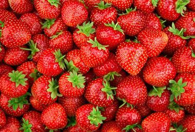 Erdbeeren - AdobeStock