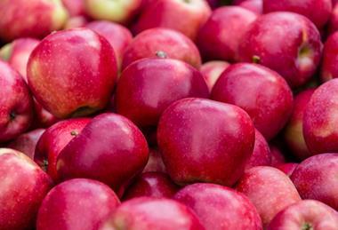 Dazzle apples Mr Apple New Zealand