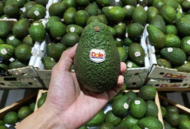 Hand holding Dole-branded avocado MUST CREDIT JCM - Adobe Stock