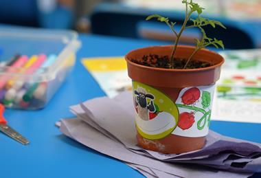 77 per cent of pupils said they were more willing to eat tomatoes following the campaign