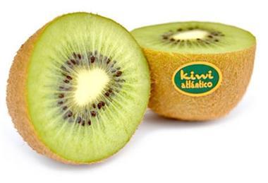 Kiwi Atlantico