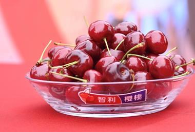 Chilean cherries A