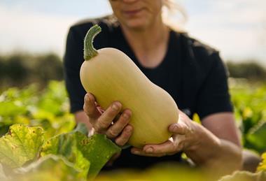 Barfoots_Butternut_8