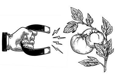 Elenovations no text