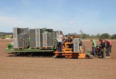 Seasonal workers UK