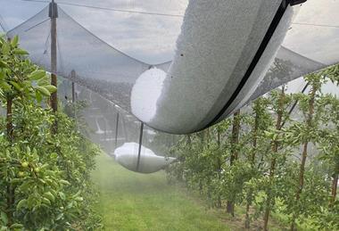 Hail Switzerland August 2026