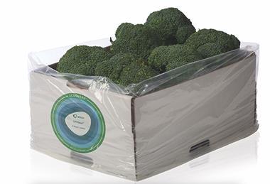 Amcor P-Plus liner