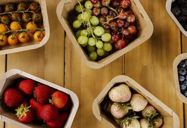 The EvoGrow range is suitable for berries as well as other fruits