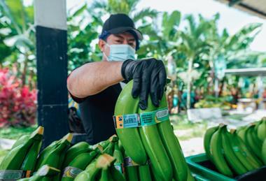 EC CREDIT Equifruit TAGS Fairtrade bananas