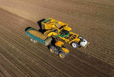 Harvesting Georgina potatoes at Branston's low-carbon concept farm
