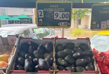 AU avocados Melbourne market