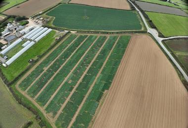 DJI_20251001150643_0002_D