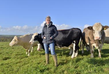 Minette Batters wrote the profitability report