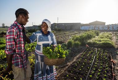 Africa smallholder farmers Bayer