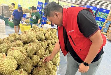 JD Fresh Thai durian