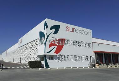 Surexport