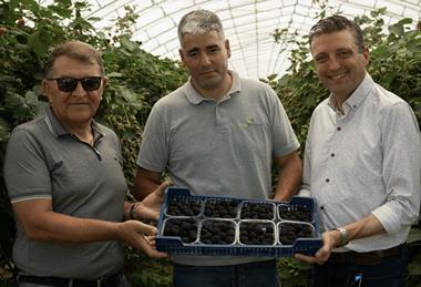 Nebojsa Momirovic (Zeleni Hit) Radosav Rakovic (Fito Mineral) Jamie Petchell (GPG)