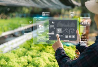 AI agriculture Adobe Stock