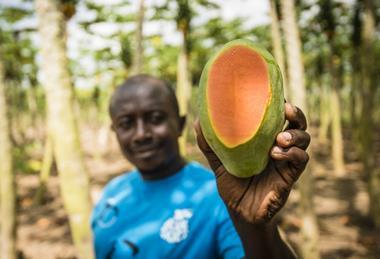 Blue Skies has pioneered prepping fruit close to source
