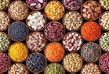 Legumes may help future-proof farms