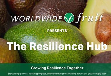 Worldwide Fruit's new digital platform