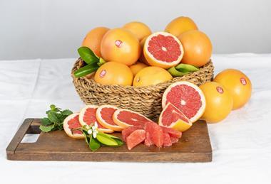 Summerstar Ruby Grapefruit South Africa