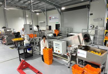 Centre for Australian Horticultural Market Access NSW DPIRD