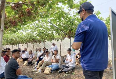 India Bloom Fresh field day