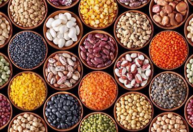 PGRO believes legumes have a bright future