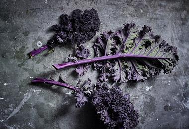 Purple kale whole leaf AH Worth