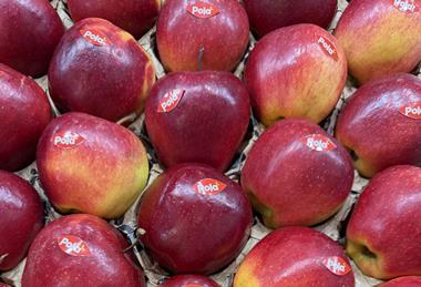 Poland apples Pola