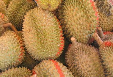 Durian_01.jpg