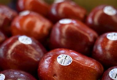 Sinclair Wash fruit apples